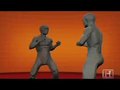 Self-Defense Kung Fu - Wing Chun Punch